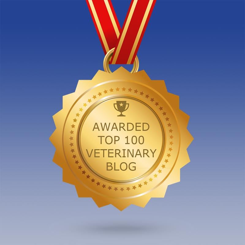 Veterinary Blog Award Medal